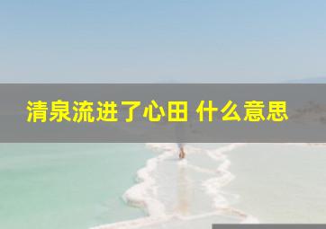 清泉流进了心田 什么意思